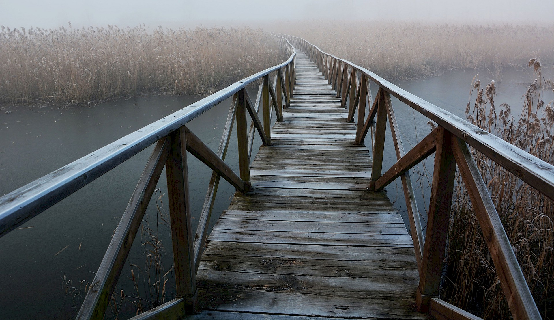Schmale Holzbrücke über einen Fluss, leichter Nebel, Raureif auf dem Geländer, am gegenüberliegenden Ufer dichtes Schilf, in dem die Brücke verschwindet.
